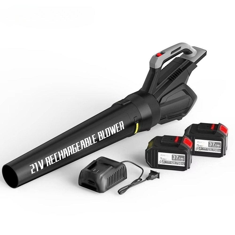 Soffiatore a Batteria 20V con  - Car Vacuum recensione e prezzo