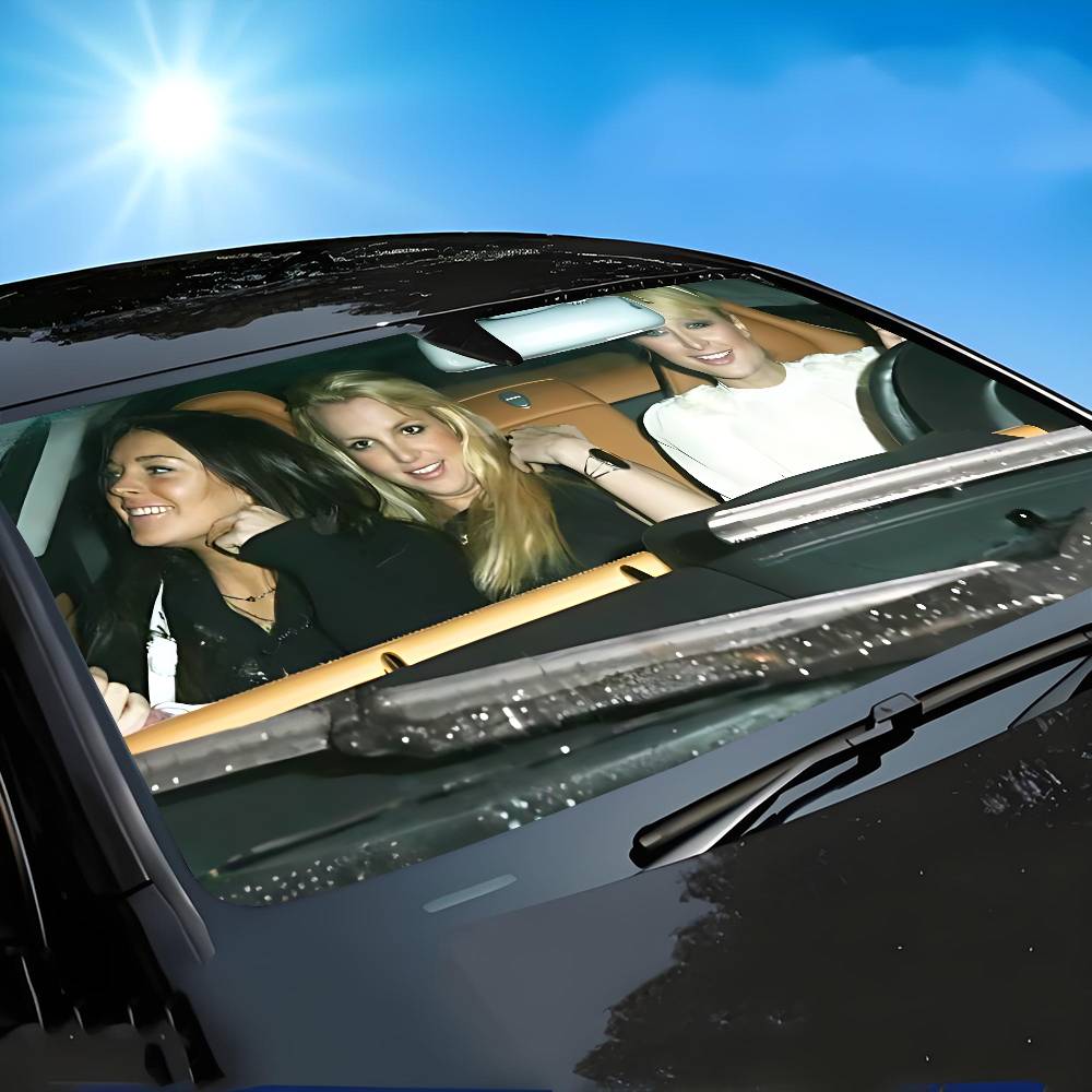 Parigi B-Britney L-Lindsay Par - Windshield Sun Shade recensione e prezzo