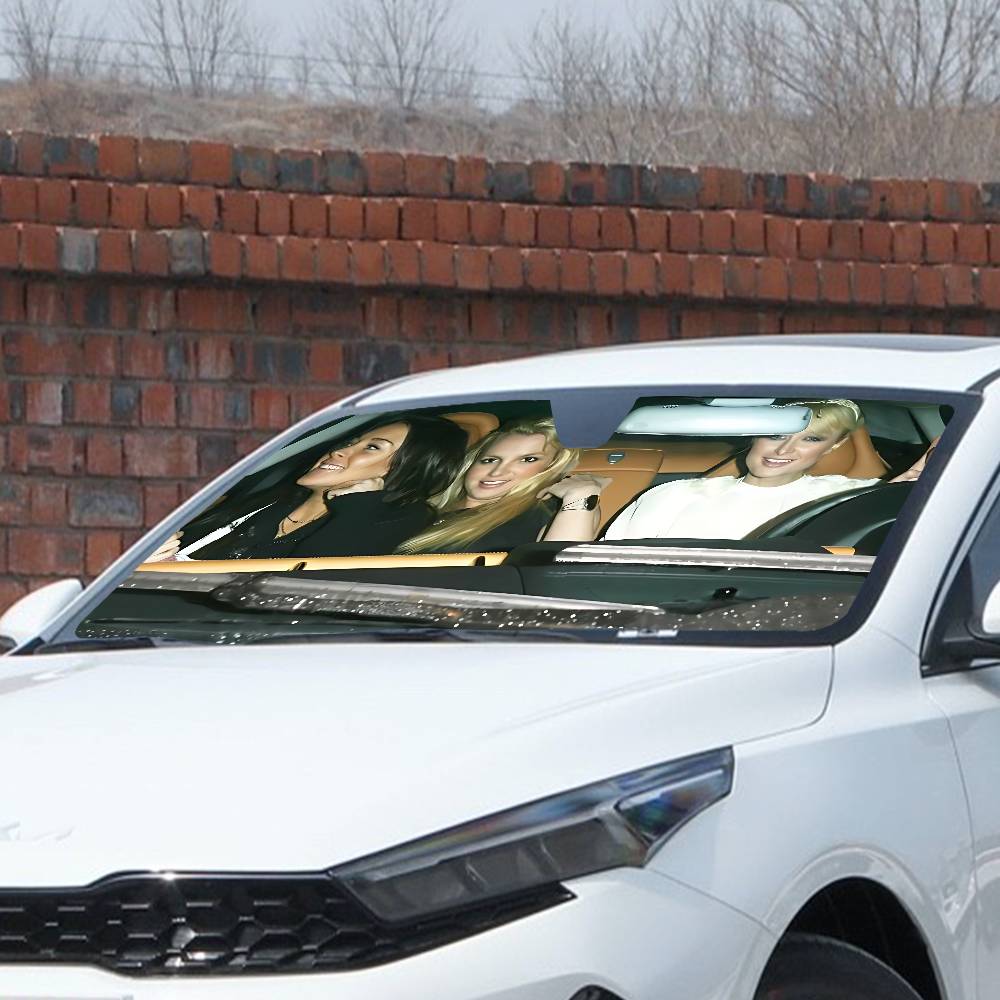 Parigi B-Britney L-Lindsay Par - Windshield Sun Shade recensione e prezzo